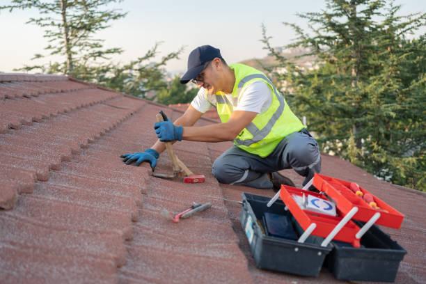 Best Roofing Contractor Near Me  in New London, WI